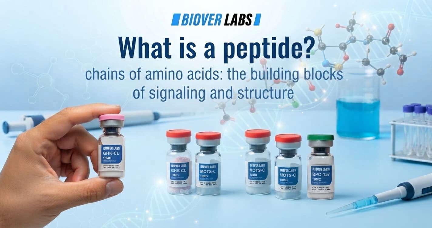 What Is a Peptide? A Plain-English Primer